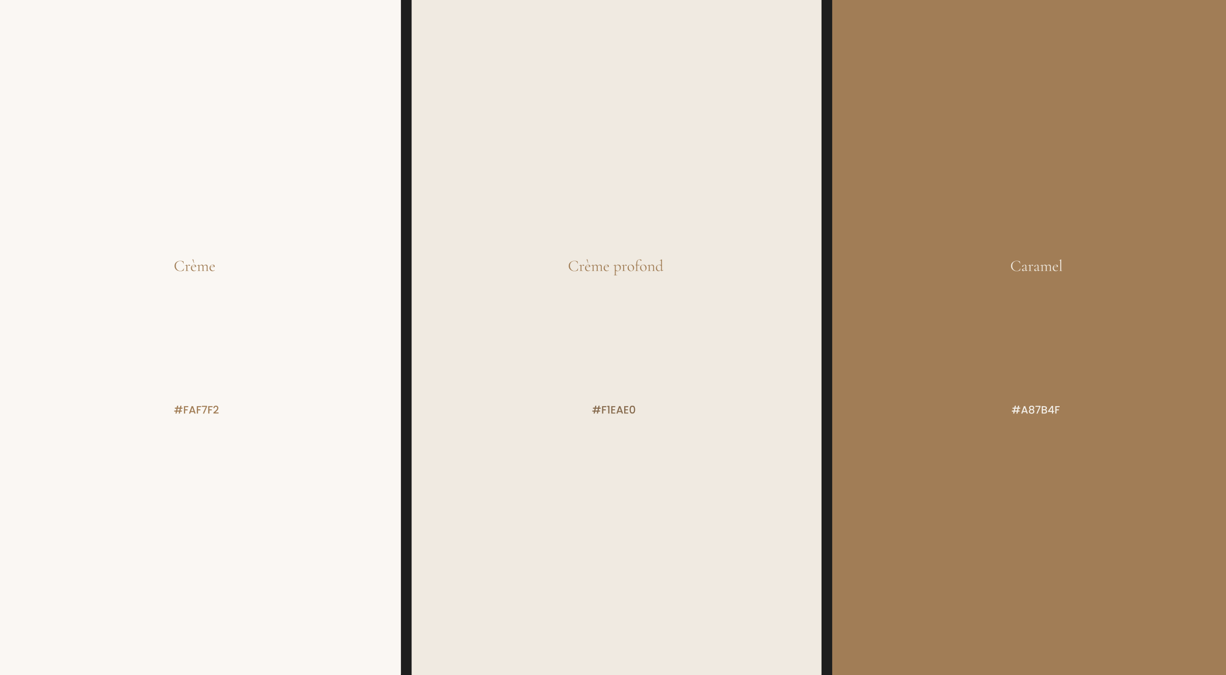 Palette de couleurs — crème, crème profond, caramel